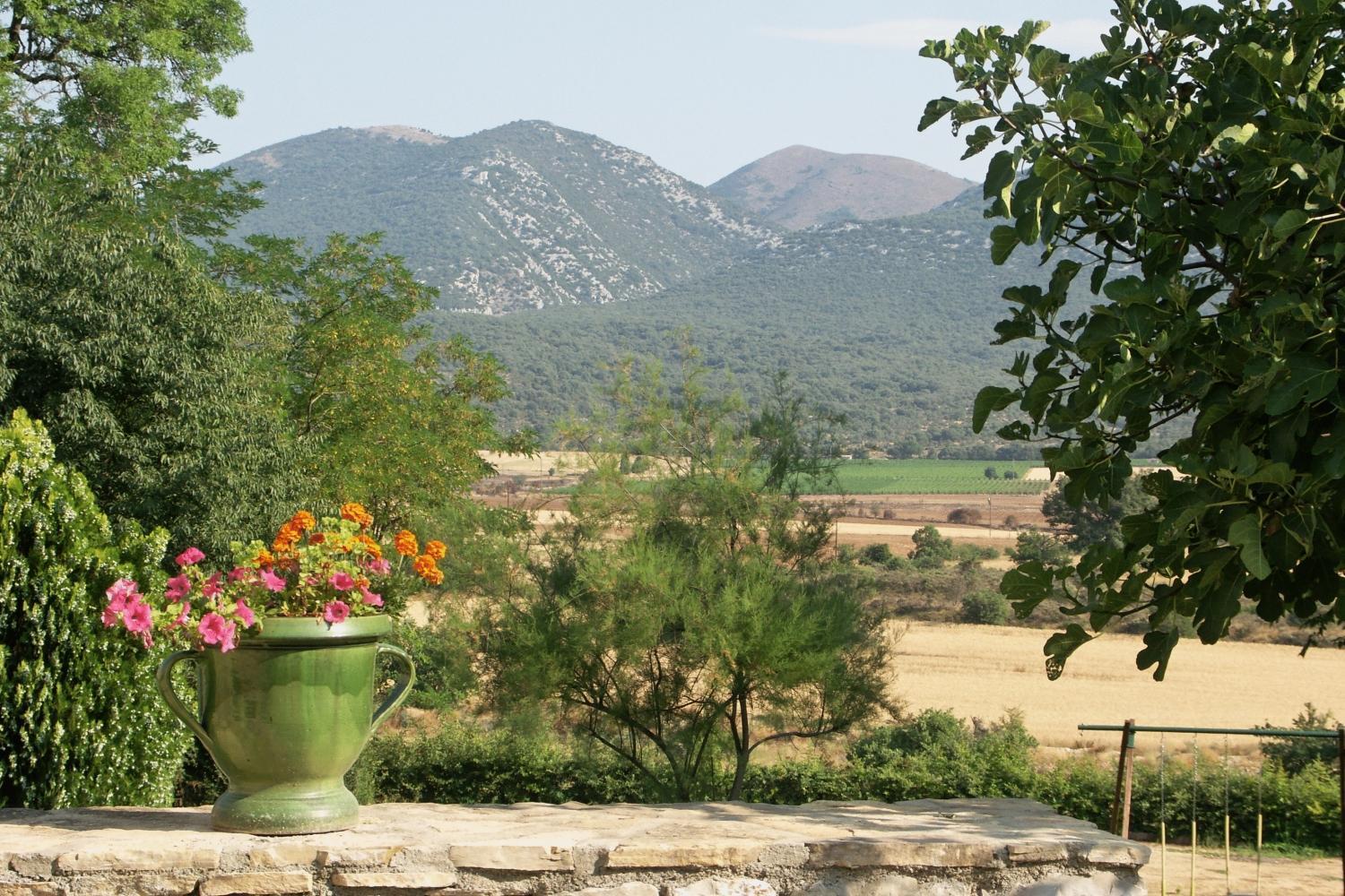 Domaine De Blancardy Hotell Moulès-et-Baucels Eksteriør bilde